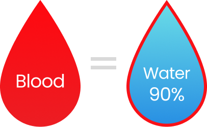 혈액 내 물이 차지하는 비율