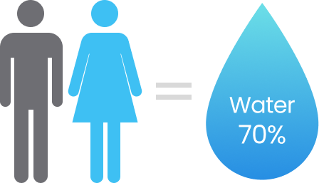 성인 인체에서 물이 차지하는 비율